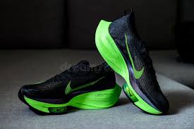 Image result for Roman Green 1931 Nash