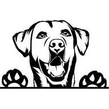 Pin On Cat And Dogs Silhouettes