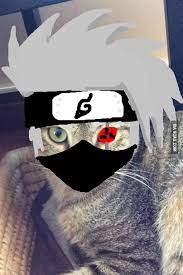 If you want to draw kakashi hatake, follow our tutorial. I Present To You Kakashi Cat 9gag