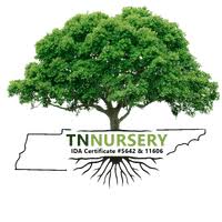 TN Nursery