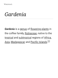 Image result for Gardenia transvenulosa