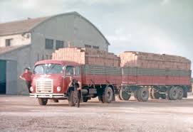 Le tre storie di michelangelo, antonio e giulia apparentemente così distanti s'intrecciano invece in modo inaspettato. Giovanna Scaroni Compie 90 Anni E La Prima Camionista Della Lombardia Oglioponews