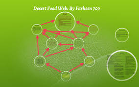 However, food chain may not always start with plants (grazing food chain). Desert Food Web By Farheen Azfar