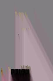 Primitive society and its vital statistics