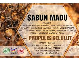 Beliau berkata, gmkb menambah sarang lebah kelulut sehingga 250 sarang daripada 180 sarang bagi memastikan jumlah pengeluaran madu lebah kelulut bertambah pada setiap bulan. Kelulut Projects Photos Videos Logos Illustrations And Branding On Behance