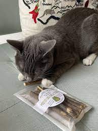 32 Things To Buy Your Cat Just Because