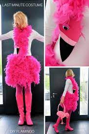 Wir zeigen eine anleitung für einen tüllrock und geben tipps für passende schminke, maske, kopfschmuck und. Unbeauftragte Werbung Das Ultimative Wandelbare Last Minute Diy Karnevalskostum Karnevalskostum Flamingo Kostum Selber Machen Karneval