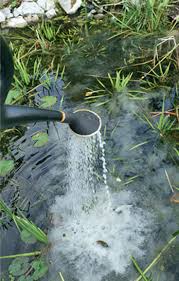 Teichschlamm Entfernen Selbst De Brunnen Garten Teich Wasser Im Garten