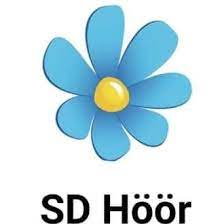 Vänsterpartiet och sverigedemokraterna gav sitt stöd till minoritetens förslag. Sverigedemokraterna Hoor Home Facebook