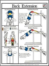 Back Extension Exercise Poster Back Extension Exercises Exercise Lower Back Exercises