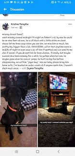 Great dane rescue of the carolinas, inc. Newport Nc Carteret Co Lost Dog Lost Found Dogs North Carolina Facebook