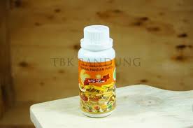 Jual Ny Liem Perisa Pasta Pandan 100 Gr Kota Bandung Tbk Bandung Tokopedia