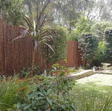 We did not find results for: Camden Nurseries Home Facebook