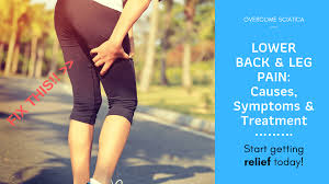 2019 guide to lower back and leg pain