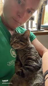 ✨Fostering Fur Babies✨