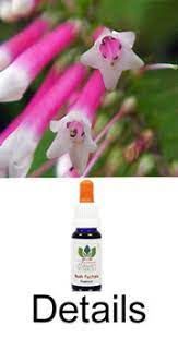 Bush Fuchsia Love Remedies Australian Flower Essences