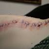 Industry leading tattoo supplies & body piercing supplies. 1