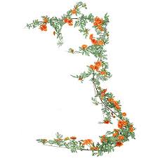 Las plantas han sido, son y seguirán siendo por mucho, el mejor accesorio y la mejor decoración para cualquiera de los espacios este artículo tiene como finalidad brindarles un montón de ideas creativas, hermosas y originales con plantas colgantes, y aunque. Flores Artificiales Cual Es El Mejor Del 2021