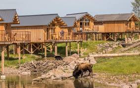 Photos, address, and phone number, opening hours, photos, and user reviews on yandex.maps. Nouveau Monde Au Parc Animalier De Sainte Croix Ble Lorraine