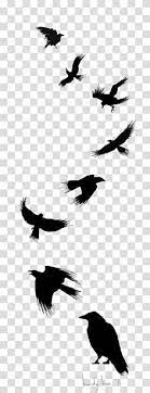 Eight Black Birds Common Raven Bird Tattoo Drawing Flight Ink Crow Transparent Background Png Clipart Crow Painting Raven Bird Crow Silhouette