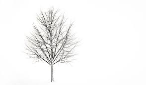 Black And White Tree Art Canvas Winter Tree By Wall Art Prints From 15 Tree Art Black And White Tree Art Black An Landscape Art Prints Modern Abstract Wall Art Photography Wall Art