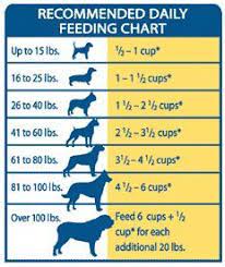 empfohlene tagliche futterungstabelle dog feeding schedule dog care all natural dog food