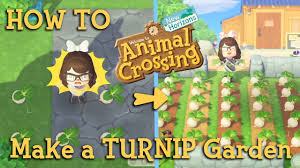 Daisy Mae - Turnip Guide - Animal Crossing: New Horizons Guide - Ign
