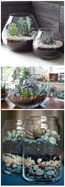 21 Simple Ideas For Adorable Diy Terrariums Terrarium Diy Plants Succulents Garden