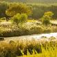 Ulsan Autumn Tour: Whale Village, Parks, and Gardens event image