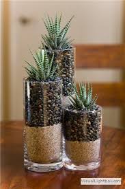 Zebra cactus ( haworthia attenuata ), also known as zebra plants, are succulents with shapes similar to that of aloe plants. Living Room On Coffee Table Haworthia Zebra Plant Light Partial To Bright Care Water Every 3 4 Wee Succulent Planter Diy Plants Succulents In Glass