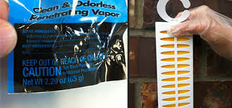 Spruce mites are very destructive and feed. Be Careful Using Ddvp Strips For Pest Control Pests In The Home