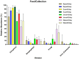 Camel skeleton diagram picture of agricultural museum cairo. Exploring The Eukaryotic Diversity In Rumen Of Indian Camel Camelus Dromedarius Using 18s Rrna Amplicon Sequencing Springerlink