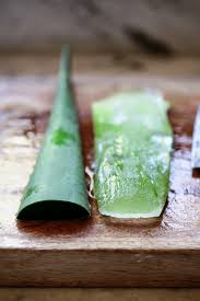 See full list on wikihow.com How To Make Aloe Vera Juice Drinks Recipe Benefits