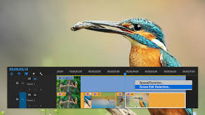 This is complete offline installer and standalone setup for adobe premiere pro cc 2020. New And Enhanced Features 2020 Releases Of Premiere Pro