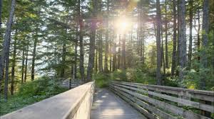 There is springtime in my soul today, for when the lord is near, the dove of peace sings in my heart, the flow'rs of grace. There Is Sunshine In My Soul Today Mormon Tabernacle Choir Youtube