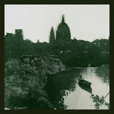 Image result for Isoberlinia