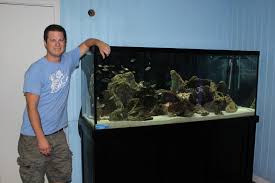Photo #2 - 30 Gallon African Cichlid Tank