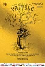 Ghid de folosire)de oleg bogaev un spectacol de radu afrim. Teatrul National Vasile Alecsandri Iasi Bilete Pe Entertix Ro Myticket Ro