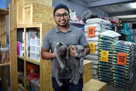 Kayak searches hundreds of travel sites to help you find and book the resort that suits you best. Jururawat Tawar Perkhidmatan Mobile Pet Truck Untuk Pemilik Kucing Utusan Borneo Online