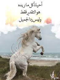 pin de فلسطينية ولي الفخر en روائع الحكم