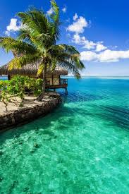 Tropical Villa And Palm Tree Next To Green Lagoon Tropical Villa And Palm Tree Ad Palm Villa Tropical Tree Amazi Nature Landscape Beach Wallpaper