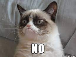 Grumpy Cat No Meme On Imgur