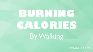 If you are a moderate walker, using the example in step 2, multiply 1495.6 by 0.6. Calories Burned By Walking How To Calculate