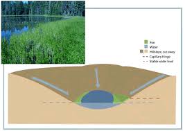 Der forschungscampus fen ist ein zusammenschluss von instituten der rwth aachen university und . Types Of Fens