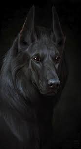 49 Wolf Dog Black Dog Animals Dog Art