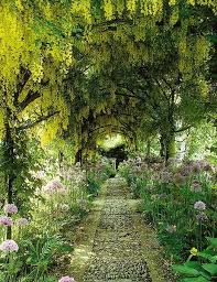 Self Taught British Designer Rosemary Verey Created This Tunnel Of Laburnum And Wisteria At Her Home Most Beautiful Gardens Beautiful Gardens Landscape Design