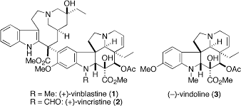 So they're given over a longer time and more frequent dosing to make sure that they're within the bloodstream at the right time to treat the. Stereocontrolled Total Synthesis Of Vincristine Pnas