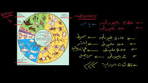الغلاف الحيوي Biosphere Youtube