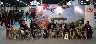 Find becky jardin's contact information, age, background check, white pages, pictures, bankruptcies, property records, liens & civil records. Accueil Elevage Les Jardins De Becky Pension Canine Et Feline Et Eleveur De Berger Des Shetland Sheepdog