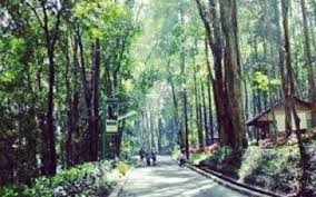 Sobat hanya mengeluarkan biaya parkir motor saja sebesar rp. Rekreasi Keluarga Di Hutan Kota Jombang Tangerang Selatan Merahputih